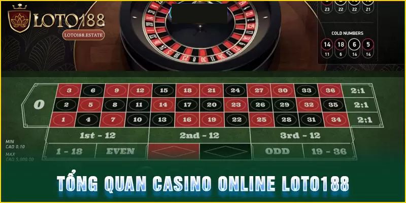 Live Casino Loto188 - Sảnh Cược Săn Thưởng Hấp Dẫn Hàng Đầu 1 Giới thiệu live casino Loto188