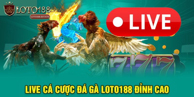Top 3 hình thức cá cược được yêu thích tại Đá gà Loto188